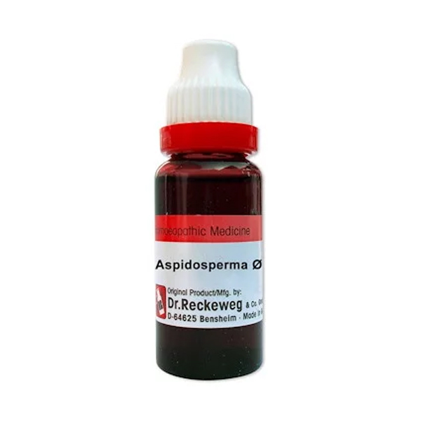 Dr. Reckeweg Aspidosperma Ø Liquid 20l
