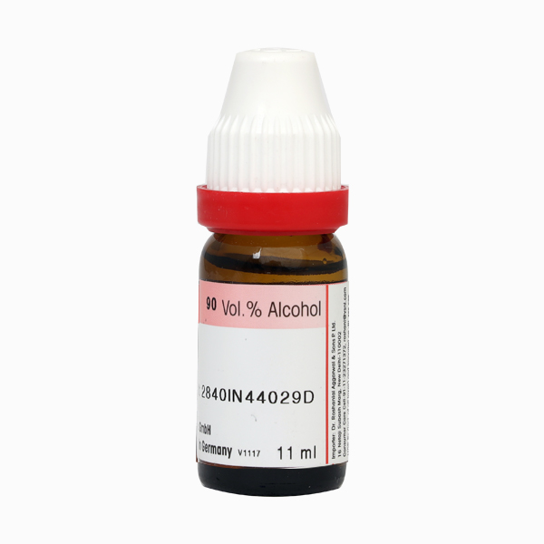 Dr. Reckeweg Cholesterinum 10M Liquid 11l